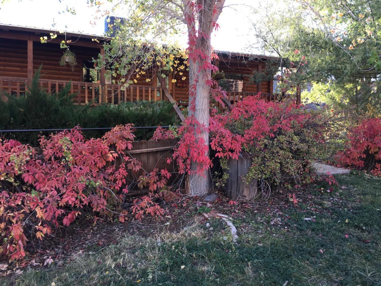 Canyon Wren Bed And Breakfast บลัฟฟ์ ภายนอก รูปภาพ